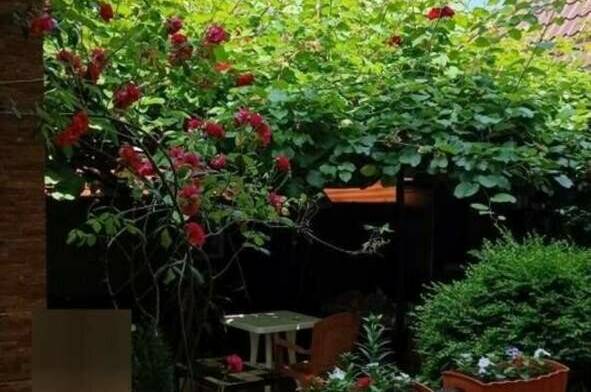 Гостевой дом «Киви дом»