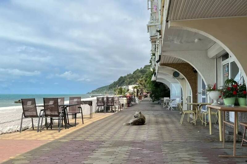 Гостевой дом «Кипарис»