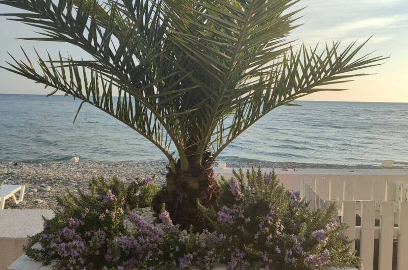 Уютная квартира у моря