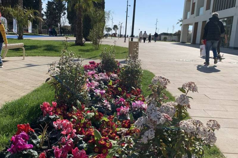 Апартаменты «Сардиния»