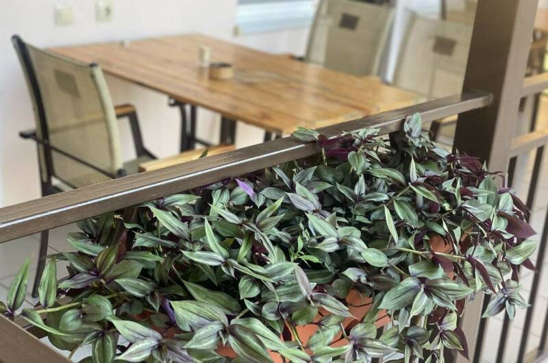 Гостевой дом «Золотой песок»