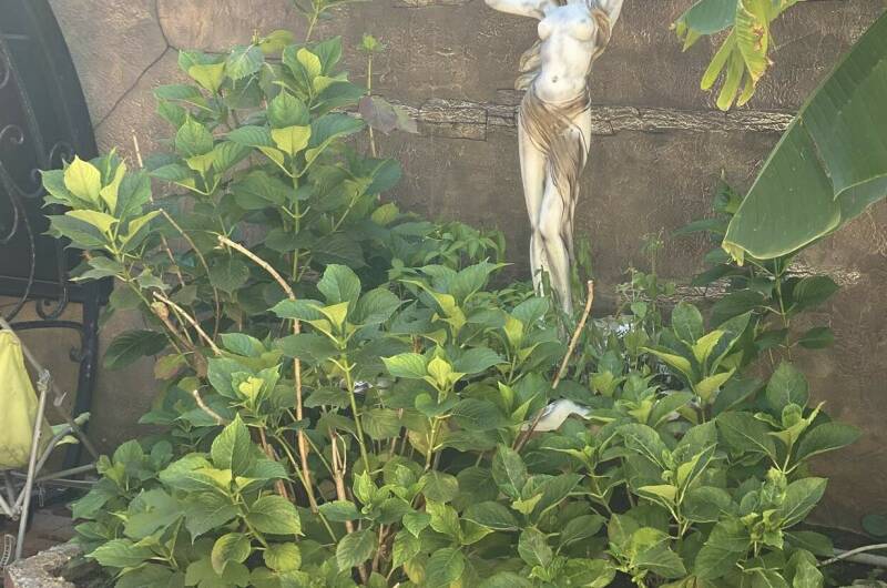 Гостевой дом «Золотой песок»