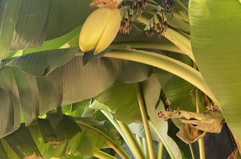 Гостевой дом «Золотой песок»