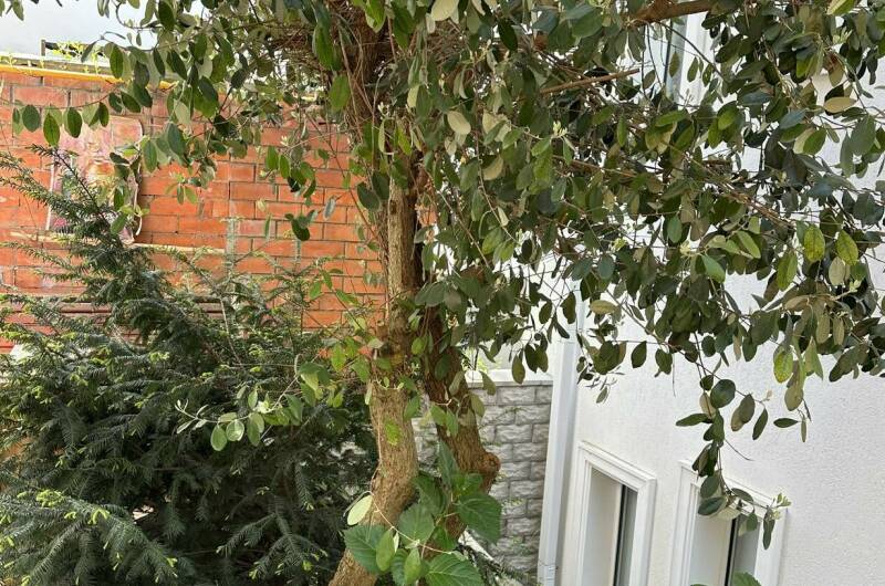 Комплекс коттеджей в центре города