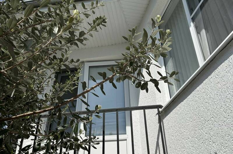 Комплекс коттеджей в центре города