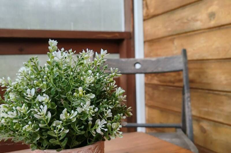 Гостевой дом «Дача от Евы»