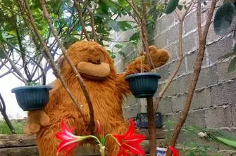 Гостевой дом «NORA»