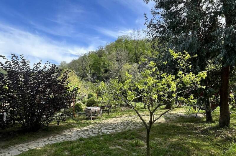 Гостевой дом «Пальма»