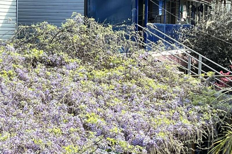 Гостевой дом «Пальма»